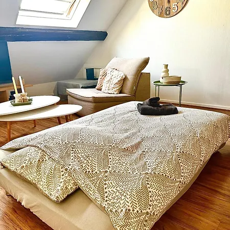 Duplex Cosy En Hypercentre De - 3min A Pied De La Gare * ティオンヴィル